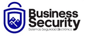 Business Security 